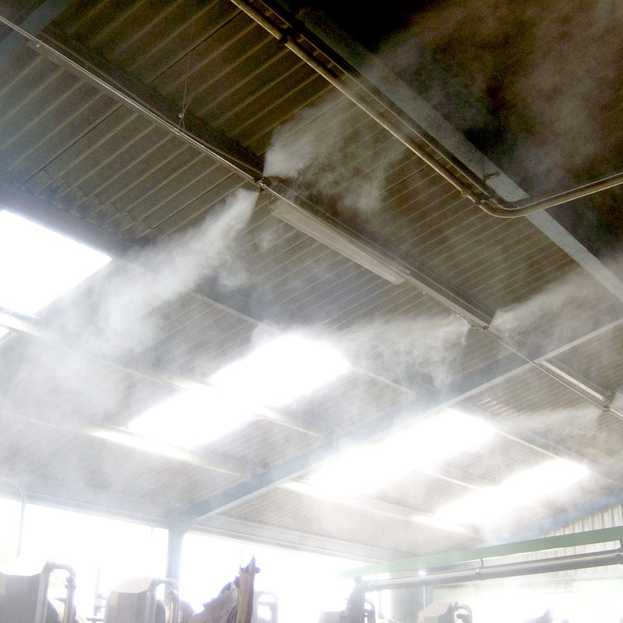 Phun Sương Mái Tôn Tất Tần Tật Về Công Nghệ Phun Sương Cho Nhà Kính